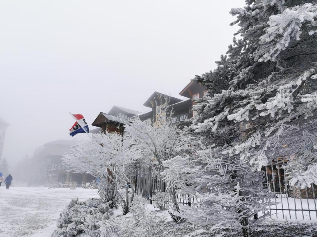 Gorgeous House For Ski Retreat Or Mountain Vacations Сноушу Экстерьер фото